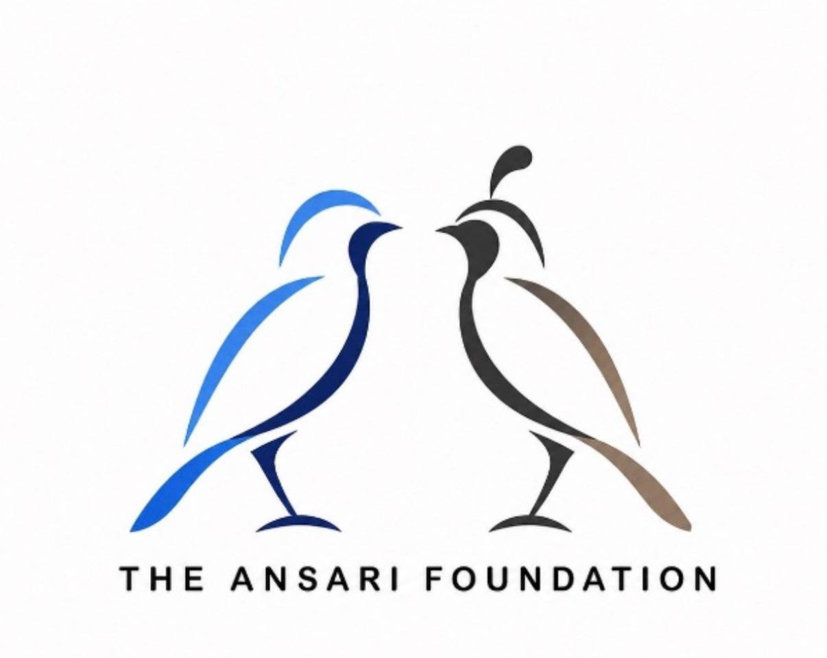 The Ansari Foundation